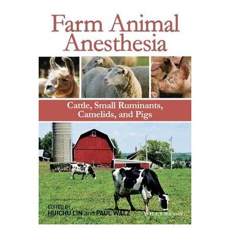 Farm Animal Anesthesia: Cattle Small Ruminants Camelids and Pigs