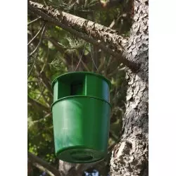 PROCEREX® Pine processionary trap cube
