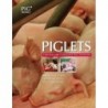 książka: Piglets