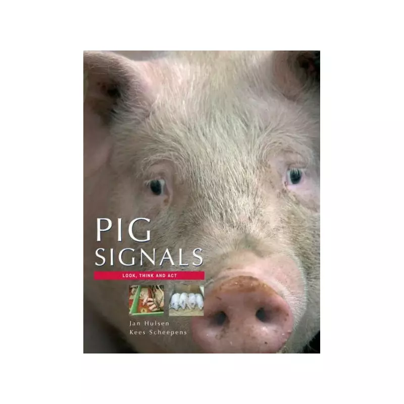 Pig Signals