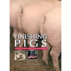Finishing Pigs - Ingrasso