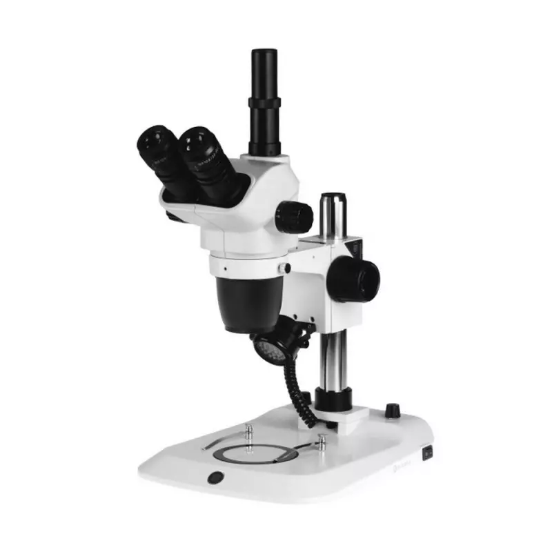 Microscopio stereoscopico trinoculare EUROMEX NexiusZoom NZ.1903-P