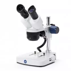 Microscopi estereoscòpic...