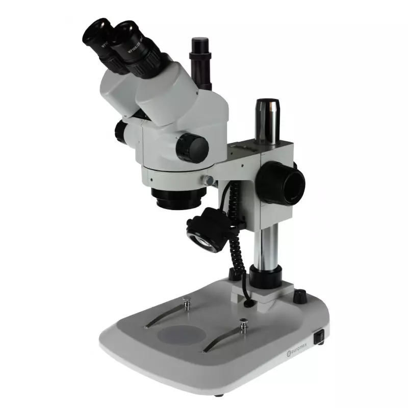 Microscopio Euromex StereoBlue Zoom