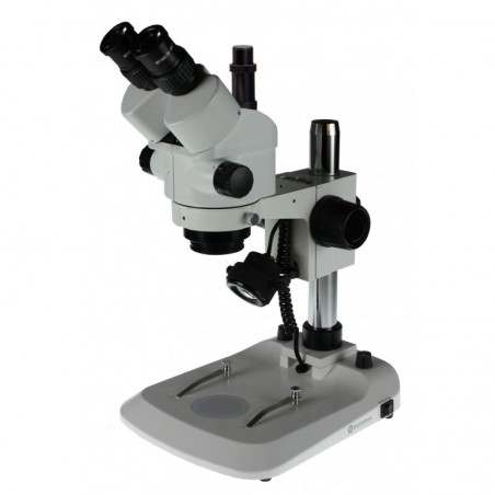 Mikroskop stereoskopowy Euromex StereoBlue