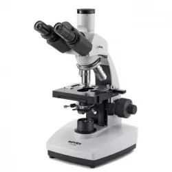 Microscopio NOVEX BTP LED con piastra riscaldante integrata PID