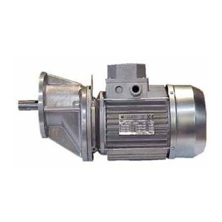 Drehstrom-Getriebemotor 300 U/min 075 kW 50 Hz / 1 PS / 1 PS