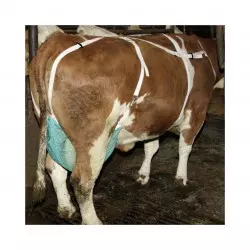 supporto per mammelle delle vacche