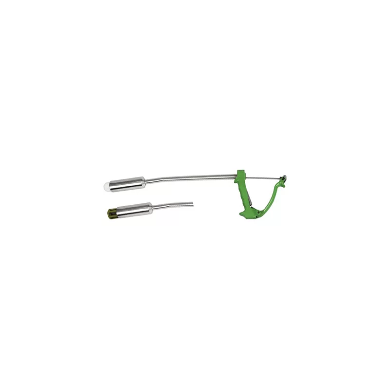 Esophageal introducer for boluses and magnets
