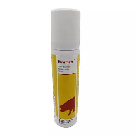 Spray de phéromones de verrat Boarmate 80 ml
