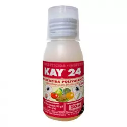 Kay 24 50 cc