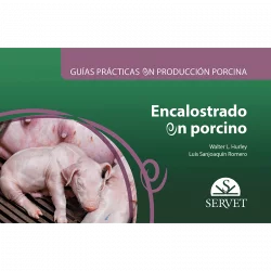 Guías prácticas en producción porcina Encalostrado en porcino