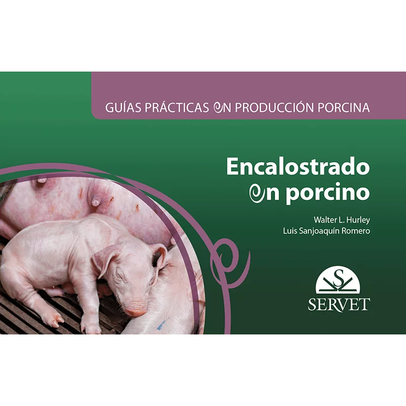 Guías prácticas en producción porcina Encalostrado en porcino