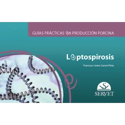 Guías prácticas en producción porcina Leptospirosis