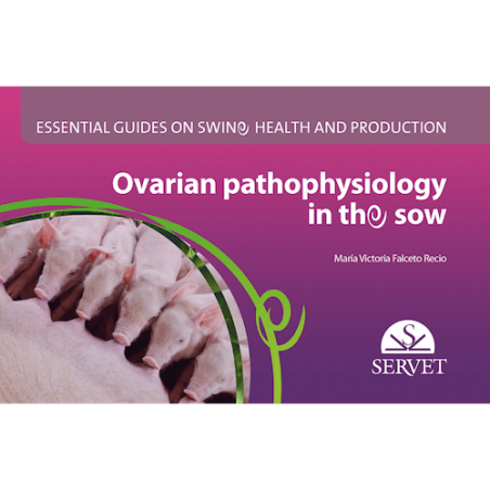 Ovarian pathophysiology in the sow Essential guides on swine health and production
