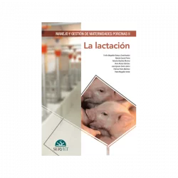 Manejo y gestión de maternidades porcinas II La lactación