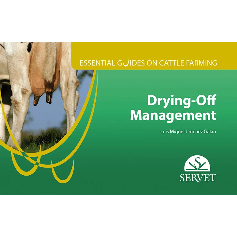 Essential guides on cattle farming Drying-off Management