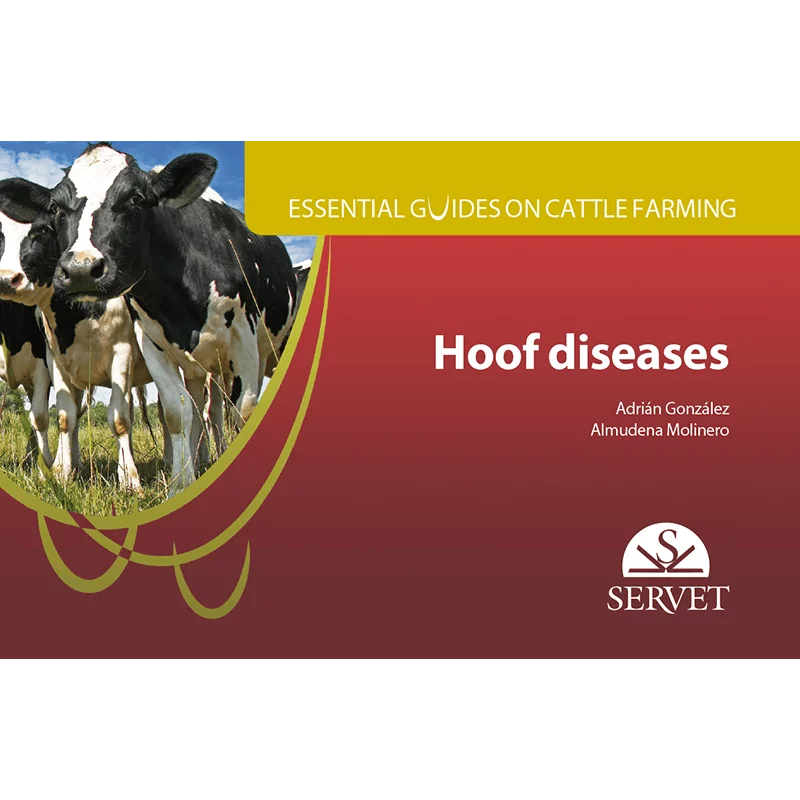 Essential guides on cattle farming Hoof diseases