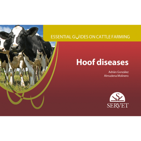 Essential guides on cattle farming Hoof diseases