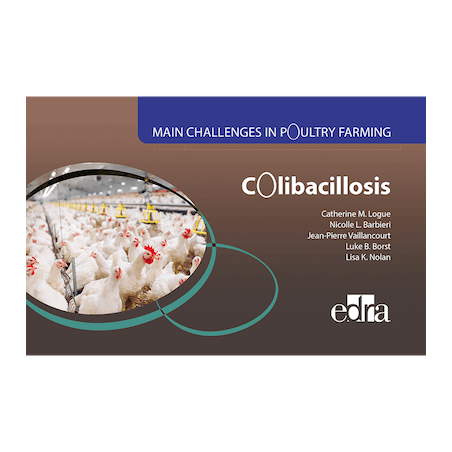 Main Challenges in Poultry Farming Colibacillosis