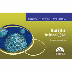 Principales retos en avicultura Bursitis infecciosa