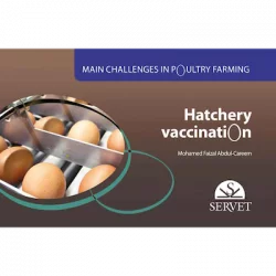 Main challenges in poultry farming Hatchery vaccination