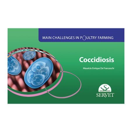 Main challenges in poultry farming Coccidiosis