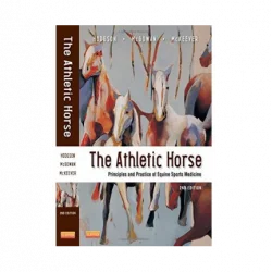 The Athletic Horse...