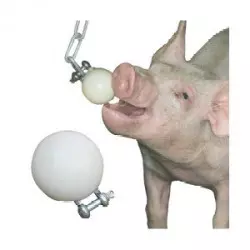 Toy for piglets anti-bite ball diameter 55 mm galvanized