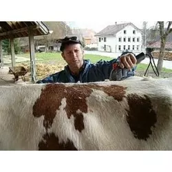 Esquiladora Heiniger Progress per a equí i boví