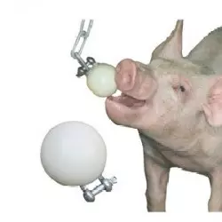 Zabawka dla świń kulka gryzak średnica 75 mm ocynkowana