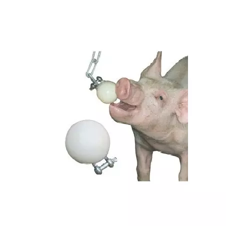 Juguete para cerdos pelota anti-mordeduras 75 mm