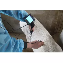 Zurück Fettmessgerät Ultraschall Kaixin MSU3 3.5MHz