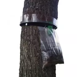 PROCEREX® Collare anti-bruchi della processionaria del pino