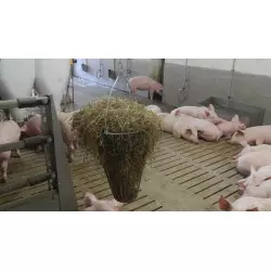 Toy for pigs: basket for straw