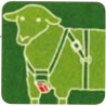 Arnês marcador para ovelhas com correias de nylon