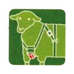 Arnês marcador para ovelhas com correias de couro