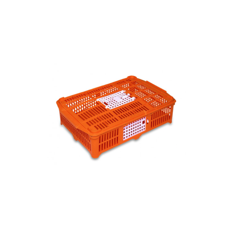 Gaun cage for quail and chicks
