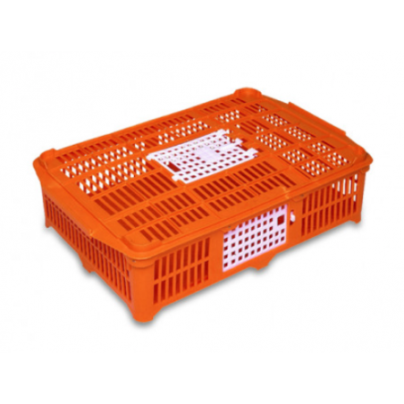Gaun cage for quail and chicks