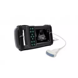 Ultrasound Kaixin KX5600L...