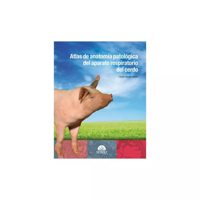 Atles d'anatomia patològica de l'aparell respiratori del porc