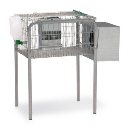 Gaun cage for rabbits 1 nest