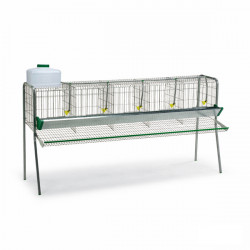 Gaun cage for chickens 5 compartments