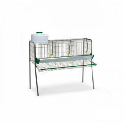 Gaun cage for chickens 3 compartments