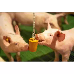 QUIET PIG PIGLETS material enriquiment garrins bloc per a penjar