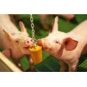 QUIET PIG PIGLETS Ferkel-Anreicherungsmaterial-Hängeblock