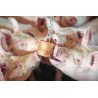 QUIET PIG INGRASSO blocco per ingrasso come arricchimento materiale da appendere