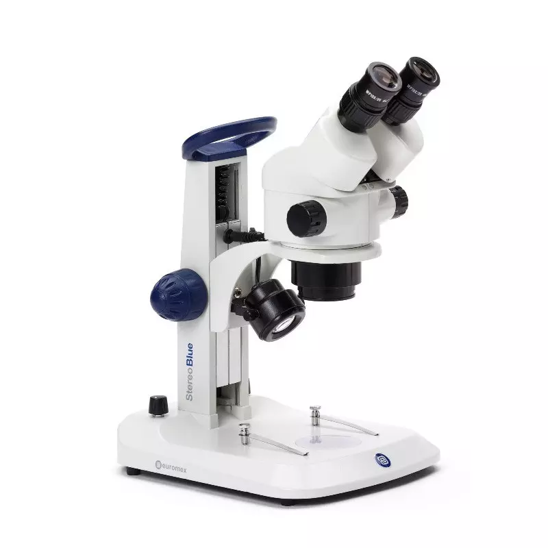 Microscópio estereoscópico EUROMEX StereoBlue