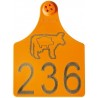 Ear tags for cattle